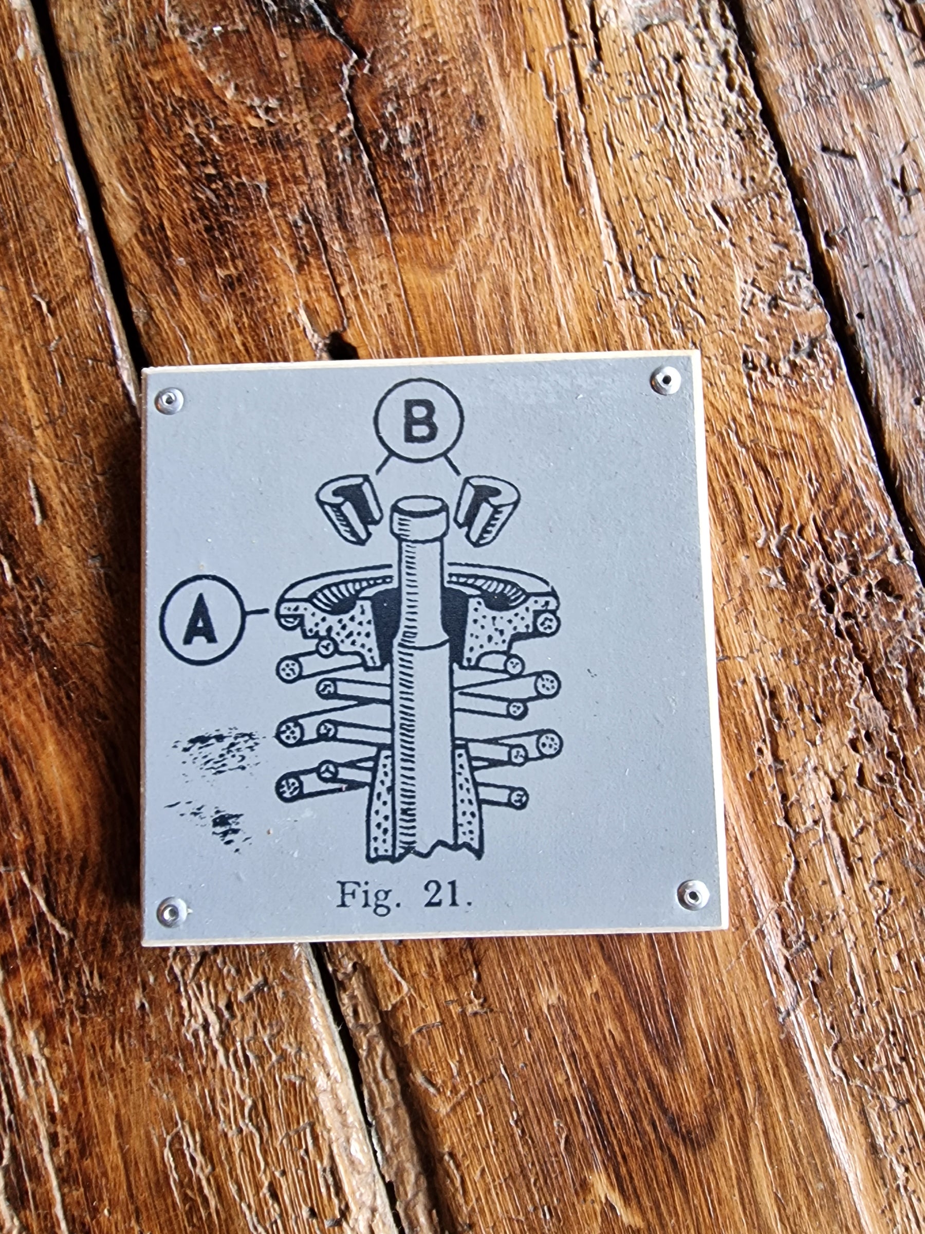 Motorbike coasters