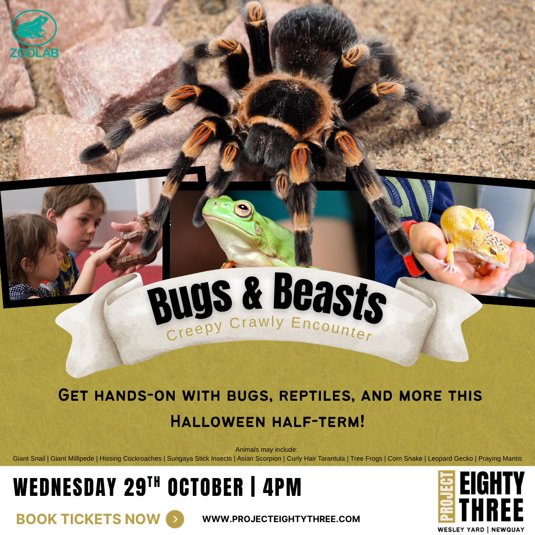 Bugs and Beasts. A Creepy Crawly Encounter by Zoolab at Project Eighty Three