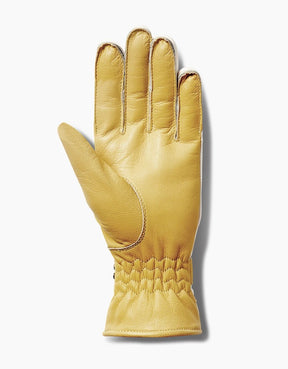 Atwyld Dark Matter Glove